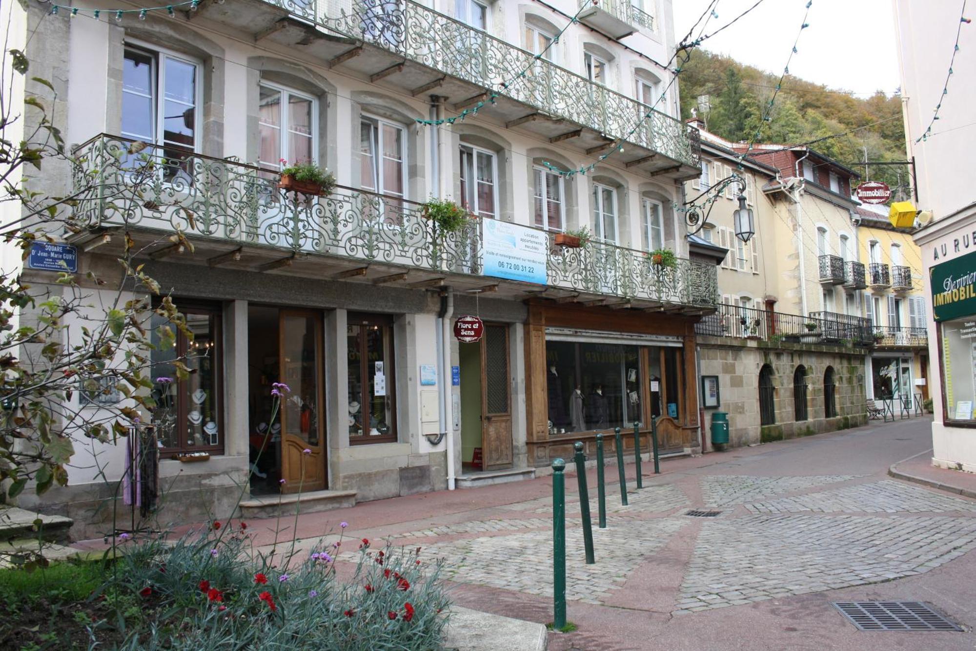 Residence Maison Blanche Plombières-les-Bains Exterior foto